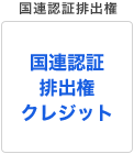 国連認証排出権