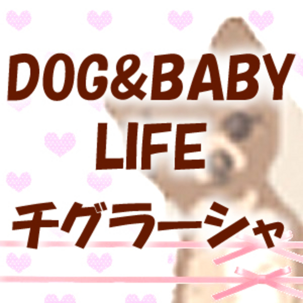 DOG&BABY LIFE  チグラーシャ