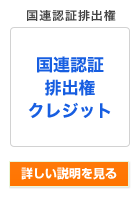 国連認証排出権