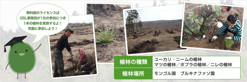 無料版のライセンスはGSL事務局が1社の参加につき1本の植林を実施するよ！気軽に参加しよう！　植林する樹木の種類：ユーリカ・ニームの植林、マツの植林/ポプラの植林/ニレの植林　植林場所：モンゴル国、ブルキナファソ国