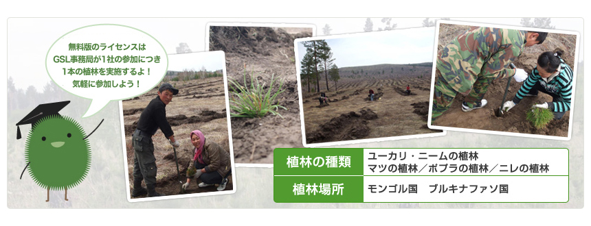 お試し版のライセンスはGSL事務局が年間100本の植林を実施してるんだ。申し込んでみよう！